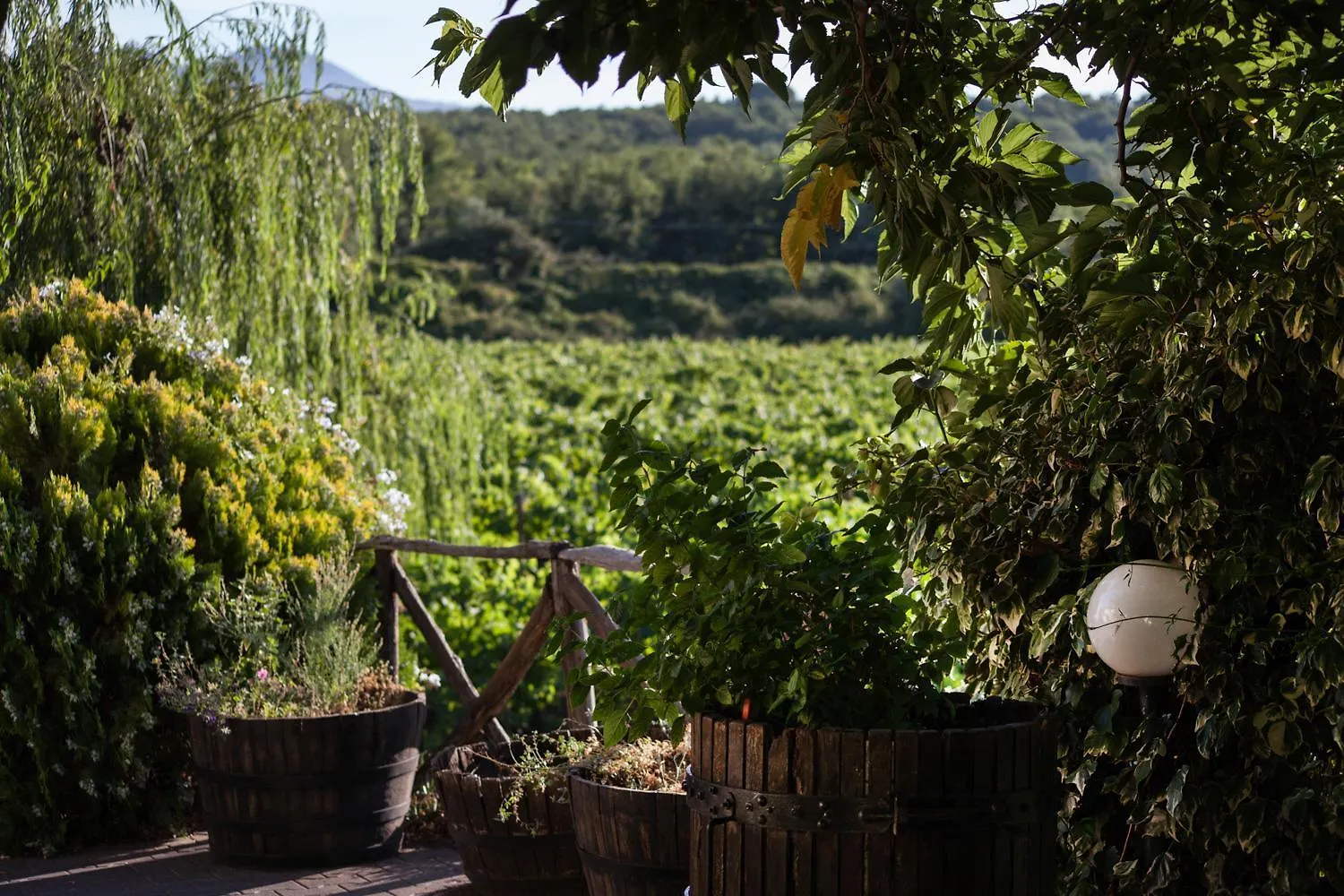 Villa L'Antica Vigna à Randazzo Italie
