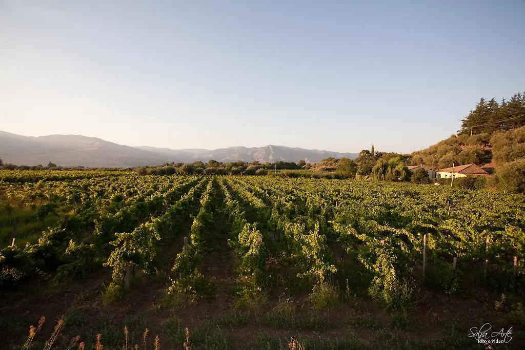 Séjour à la ferme Villa L'Antica Vigna à Randazzo